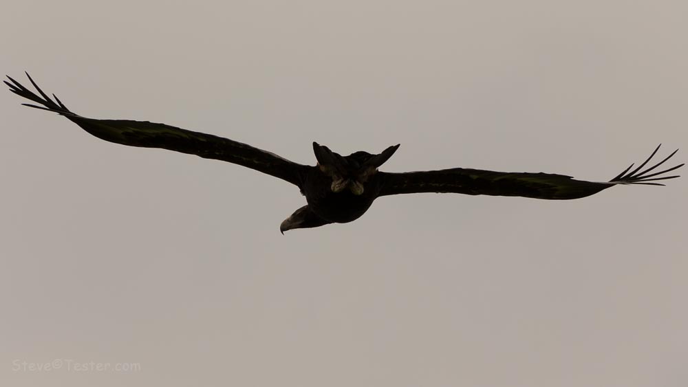 IMG_3226