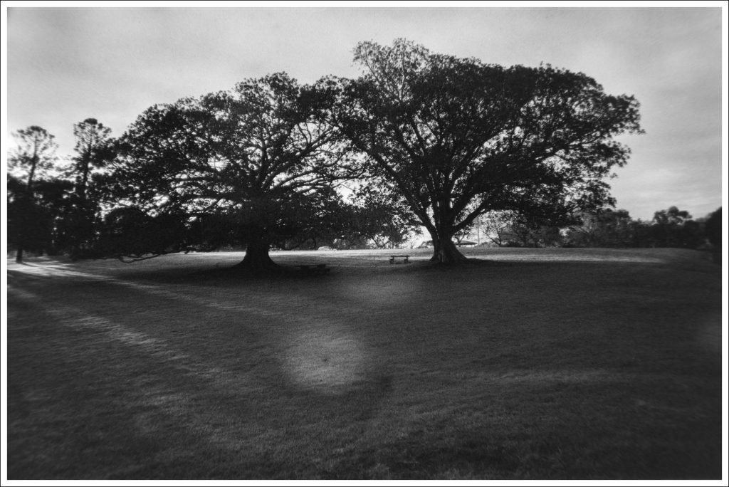Yarra Bend Park