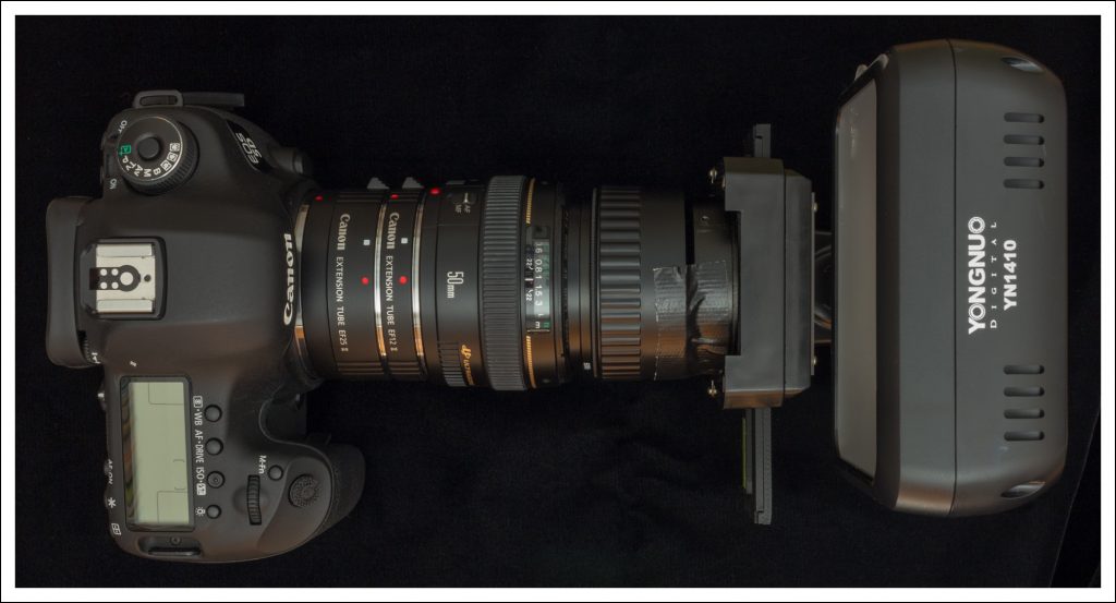 Updated neg scan setup.